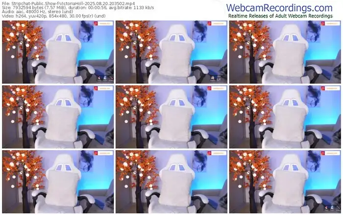 2025/08/20/stripchat-victoriahiill-20-35-02