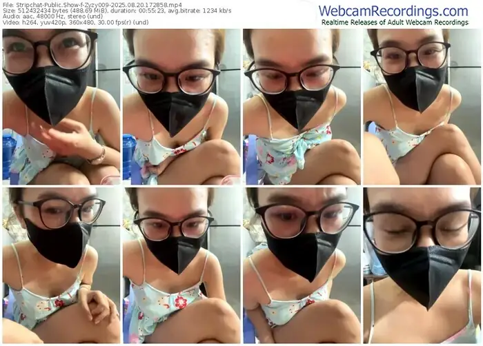 2025/08/20/stripchat-zyzy009-17-28-58