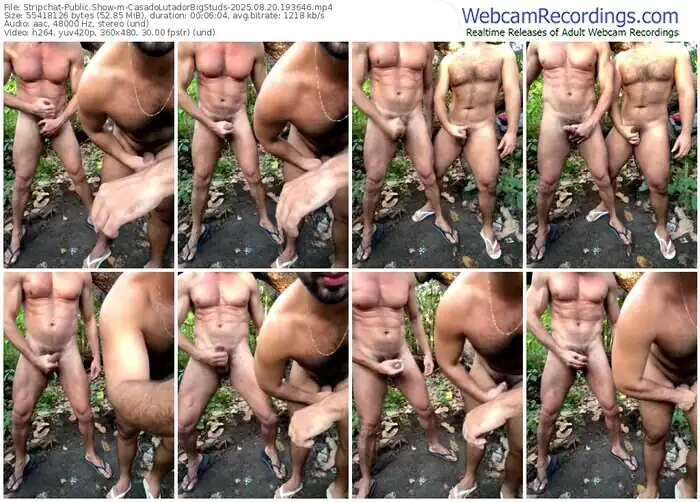 2025/08/20/stripchat-casadolutadorbigstuds-19-36-46