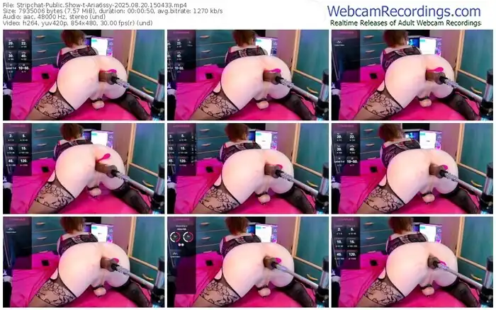 2025/08/20/stripchat-aria6ssy-15-04-33