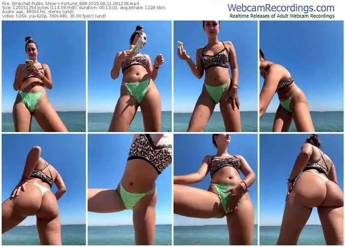 2025/08/21/stripchat-fortune_888-08-12-38