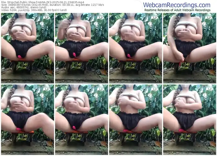 2025/08/21/stripchat-hana-zk3-23-46-35