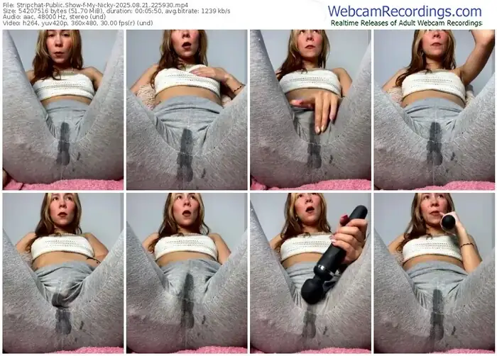 2025/08/21/stripchat-my-nicky-22-59-30