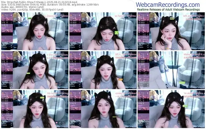 2025/08/21/stripchat-sheep-1-01-02-18