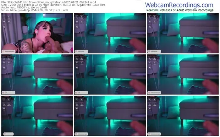 2025/08/21/stripchat-your_naughtytrans-00-42-41