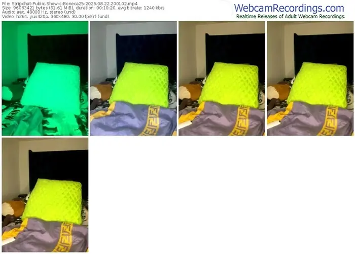 2025/08/22/stripchat-boneca25-20-01-02