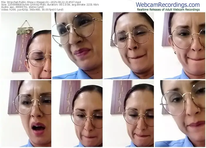 2025/08/22/stripchat-megan-01--21-45-37