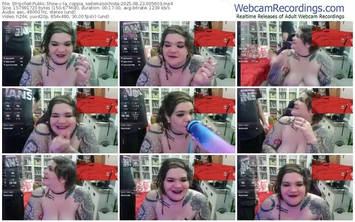 2025/08/22/stripchat-la_coppia_sadomasochista-00-56-03
