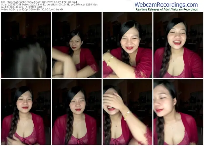 2025/08/22/stripchat-bae1103-17-41-28