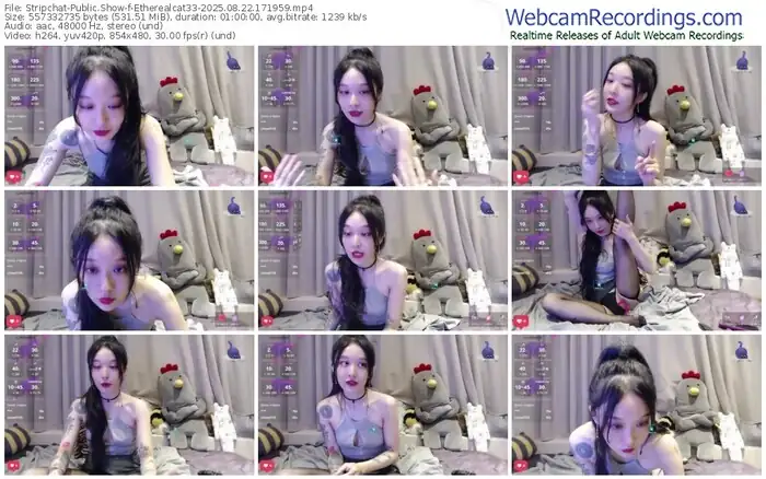 2025/08/22/stripchat-etherealcat33-17-19-59