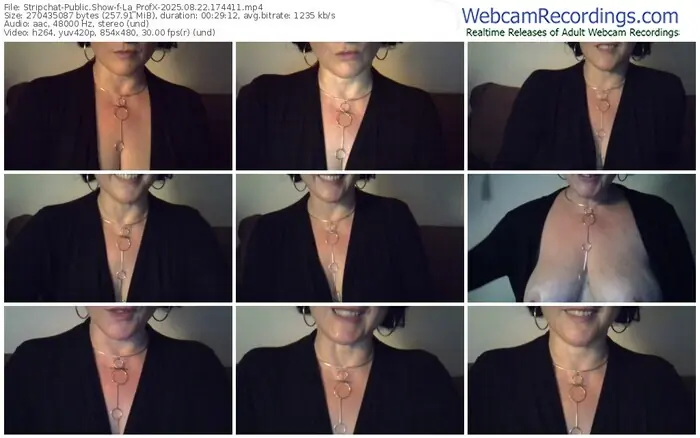 2025/08/22/stripchat-la_profx-17-44-11