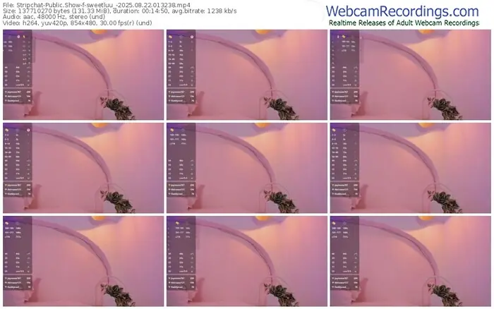 2025/08/22/stripchat-sweetluu_-01-32-38