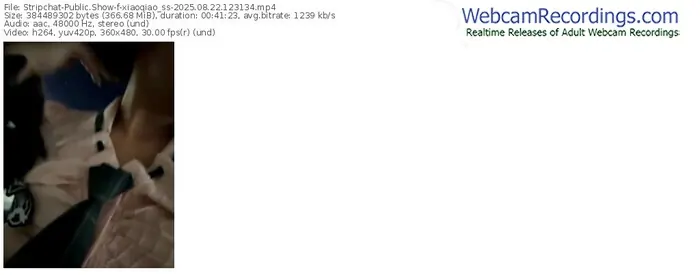 2025/08/22/stripchat-xiaoqiao_ss-12-31-34