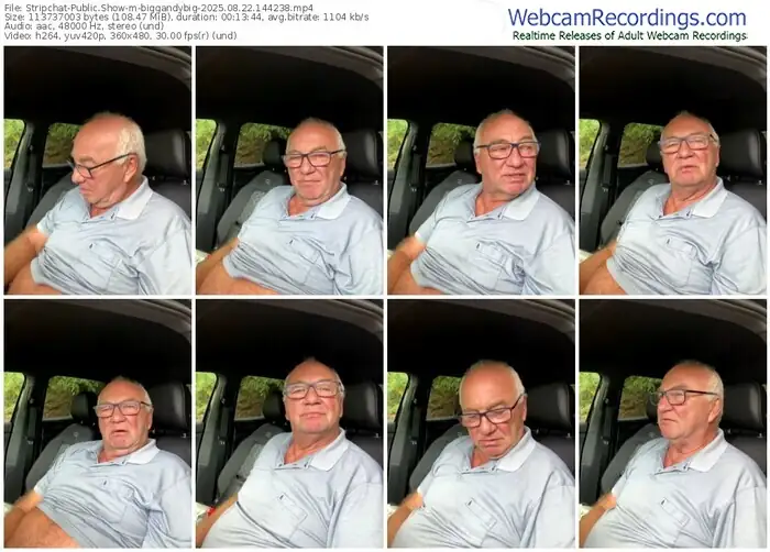 2025/08/22/stripchat-biggandybig-14-42-38