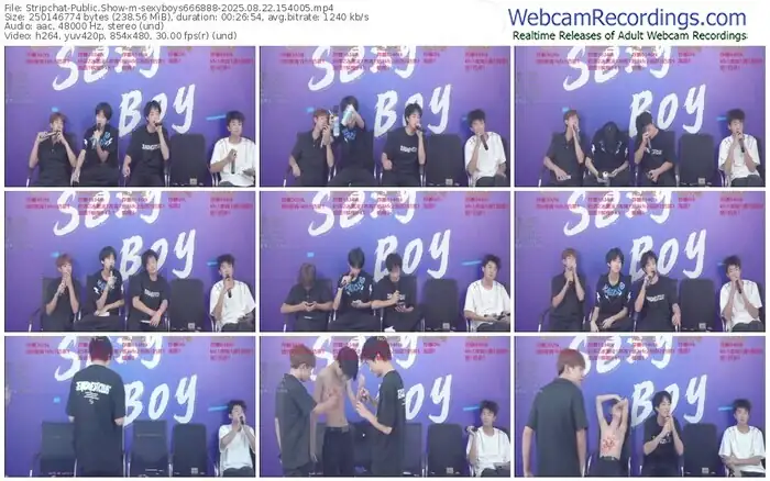 2025/08/22/stripchat-sexyboys666888-15-40-05