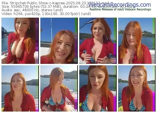 2025/08/23/stripchat-kapree-15-31-13