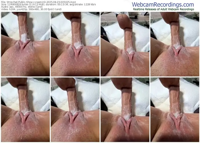 2025/08/23/stripchat-zasmin3-00-50-25