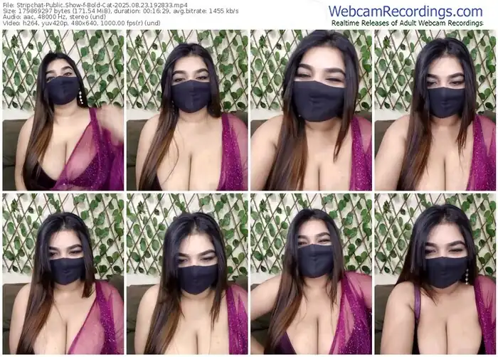2025/08/23/stripchat-bold-cat-19-28-33