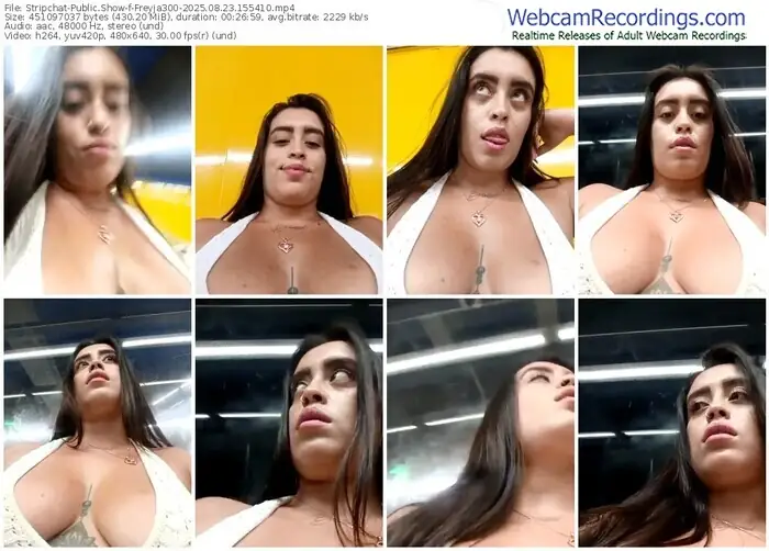 2025/08/23/stripchat-freyja300-15-54-10