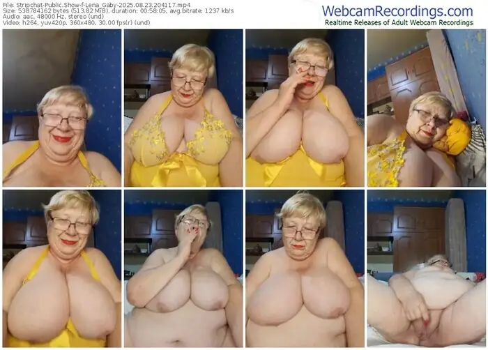 2025/08/23/stripchat-lena_gaby-20-41-17