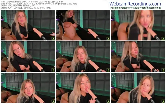 2025/08/23/stripchat-natehalll-11-56-18