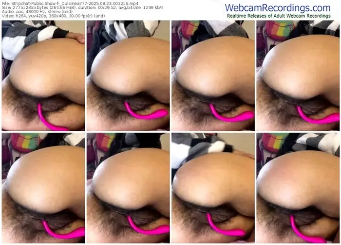 2025/08/23/stripchat-_dulcinea777-00-32-16