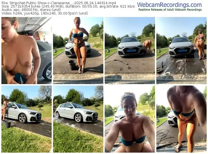 2025/08/24/stripchat-clarasense__-14-43-14