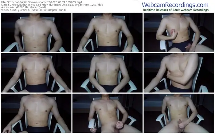 2025/08/24/stripchat-sdamvo2-16-50-03