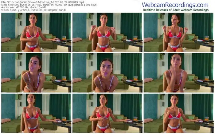 2025/08/24/stripchat-addictive_t-00-56-19