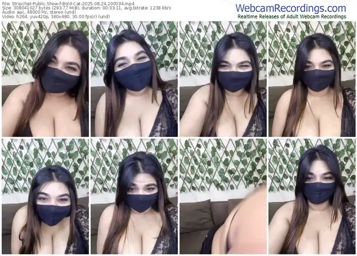2025/08/24/stripchat-bold-cat-20-00-34