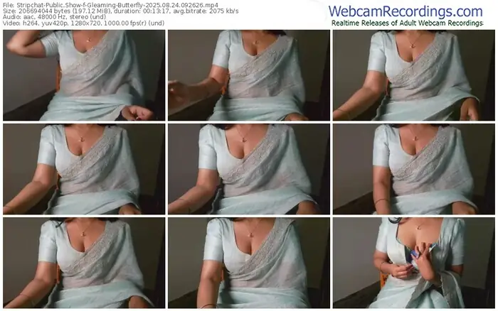 2025/08/24/stripchat-gleaming-butterfly-09-26-26
