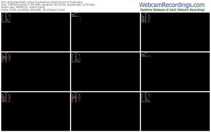 2025/08/24/stripchat-lyndanson-17-51-46