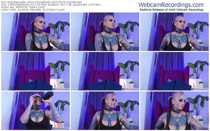 2025/08/24/stripchat-sindeldark-14-22-48