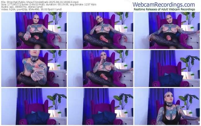 2025/08/24/stripchat-sindeldark-16-06-10