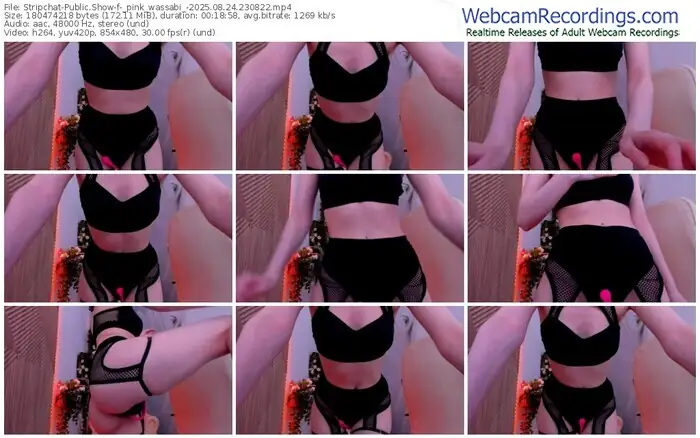2025/08/24/stripchat-_pink_wassabi_-23-08-22