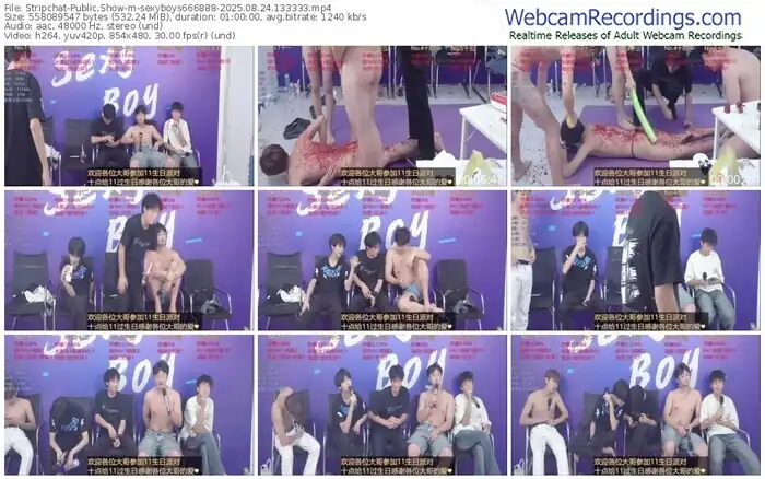 2025/08/24/stripchat-sexyboys666888-13-33-33