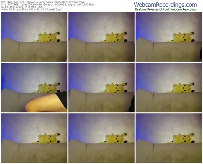 2025/08/25/stripchat--yummybabes--20-28-49