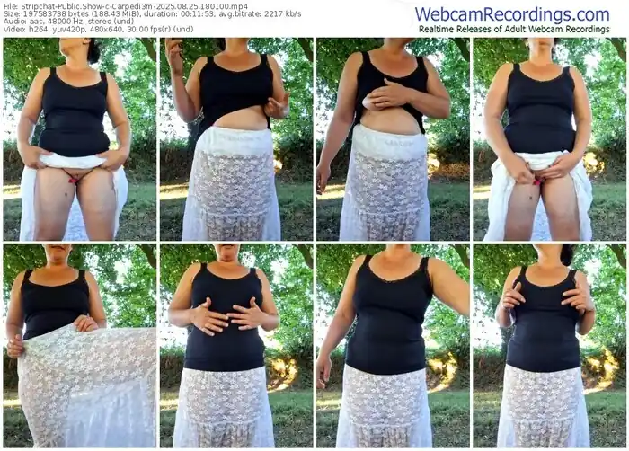 2025/08/25/stripchat-carpedi3m-18-01-00