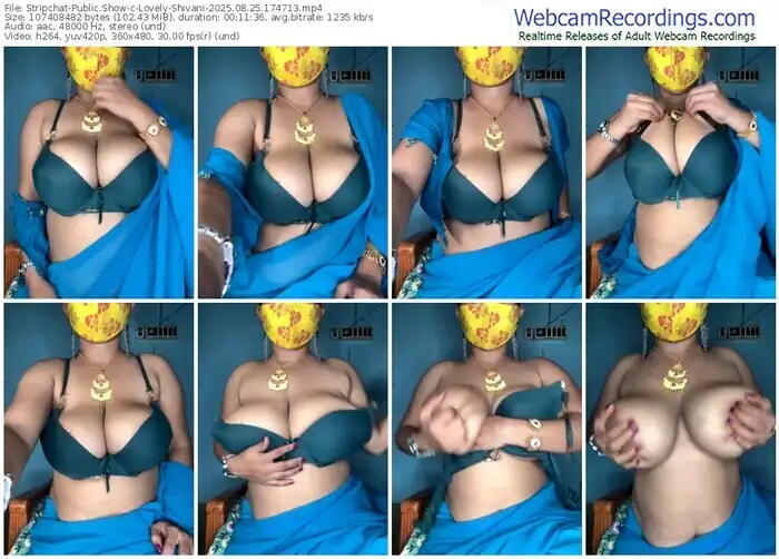 2025/08/25/stripchat-lovely-shivani-17-47-13