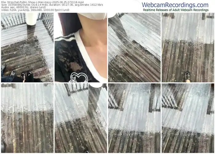 2025/08/25/stripchat-meii-meyy-07-31-18