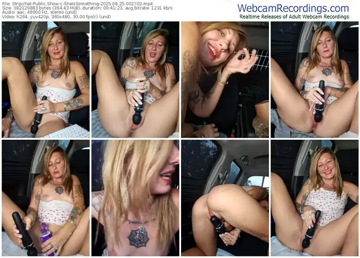 2025/08/25/stripchat-sheissomething-00-27-02