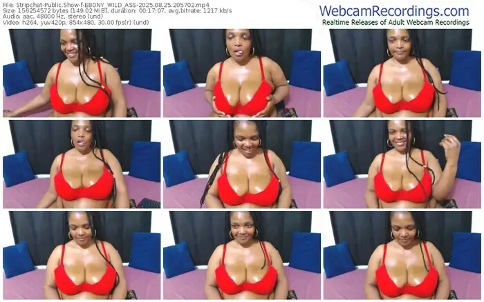 2025/08/25/stripchat-ebony_wild_ass-20-57-02