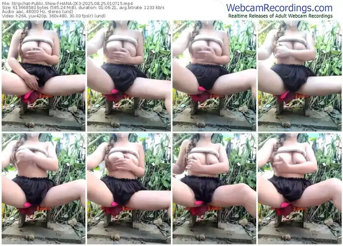 2025/08/25/stripchat-hana-zk3-01-07-15