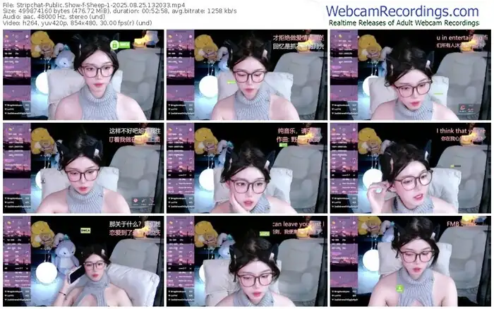 2025/08/25/stripchat-sheep-1-13-20-33