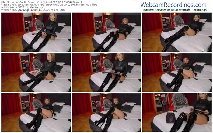 2025/08/25/stripchat-vickispice-00-40-30