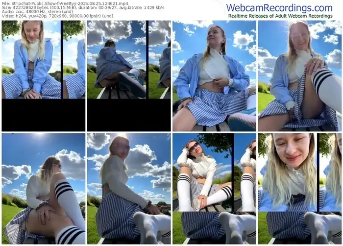 2025/08/25/stripchat-weettyy-12-46-21
