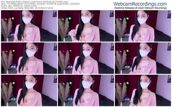 2025/08/25/stripchat-_lostcherry-19-16-52