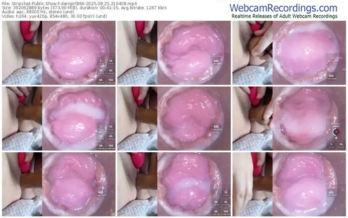 2025/08/25/stripchat-danigirl866-21-04-08