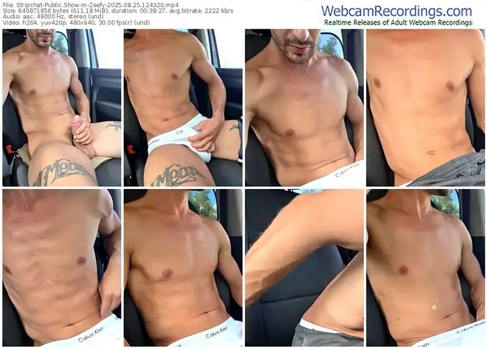 2025/08/25/stripchat-zeefy-12-43-20
