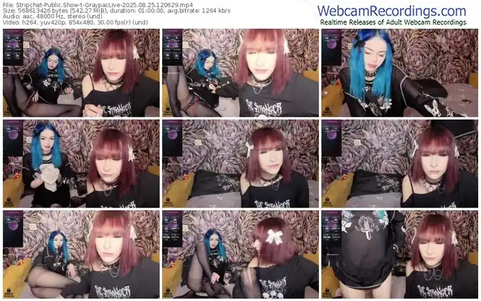 2025/08/25/stripchat-graypaclive-12-06-29